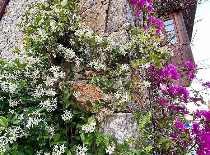 Bakacak Holiday home